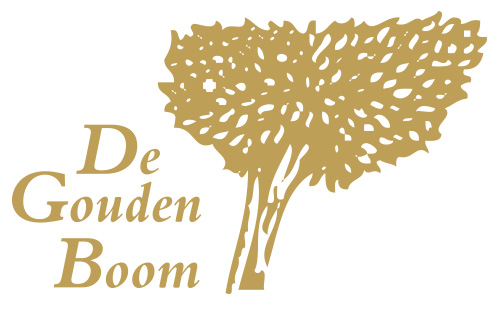 douden boom logo